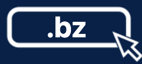 .bz域名