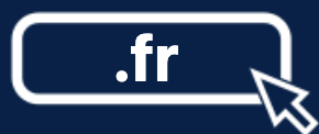 .fr域名